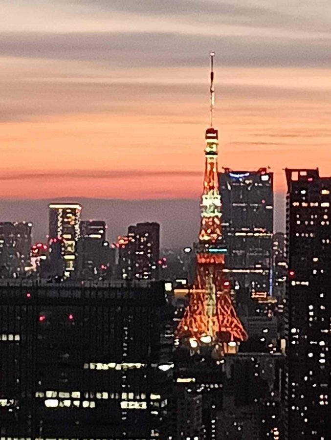 勝どきザ・タワー 眺望 眺望