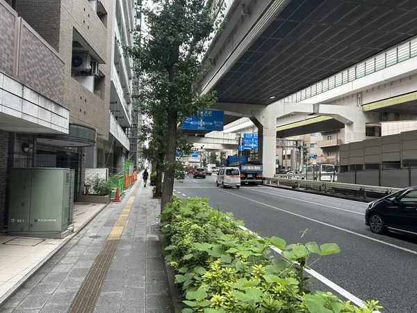 前面道路の様子