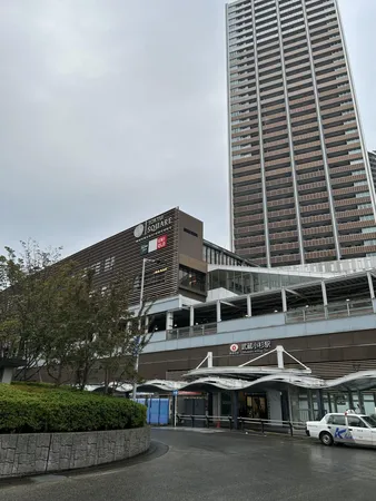 「武蔵小杉駅」約800m