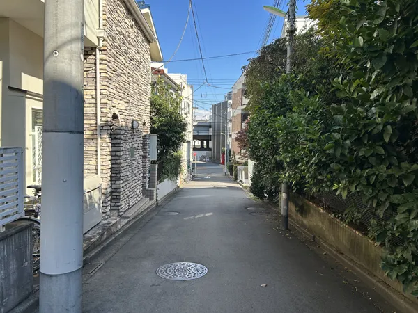 前面道路(南側から撮影)