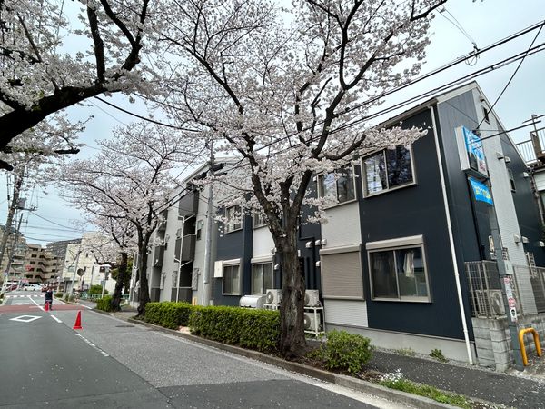 サクラノテラス北千住Ⅰ・Ⅱ(2棟一括売買・借地権付アパート) 外観 サクラノテラス北千住Ⅰ・Ⅱ(2棟一括売買・借地権付アパート) 外観