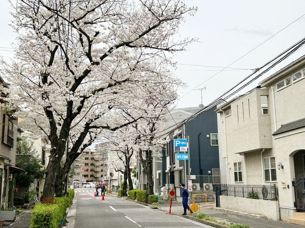 サクラノテラス北千住Ⅰ・Ⅱ(2棟一括売買・借地権付アパート) 外観 サクラノテラス北千住Ⅰ・Ⅱ(2棟一括売買・借地権付アパート) 外観