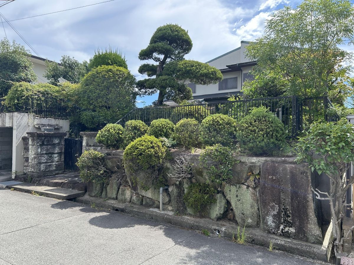 土地写真