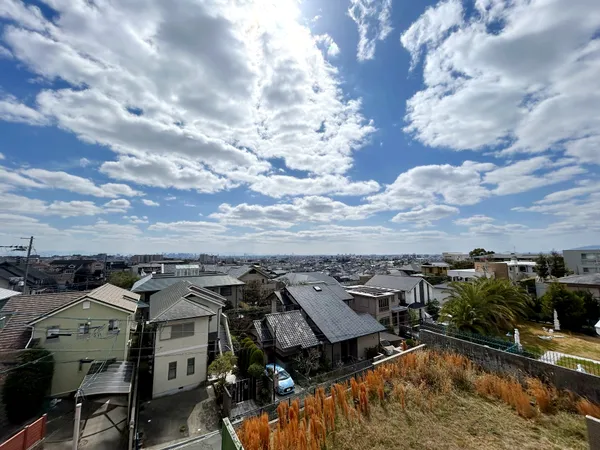 屋上から南側を望む