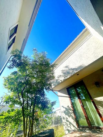 豊中市東豊中町1丁目 戸建 庭 豊中市東豊中町1丁目 戸建 庭