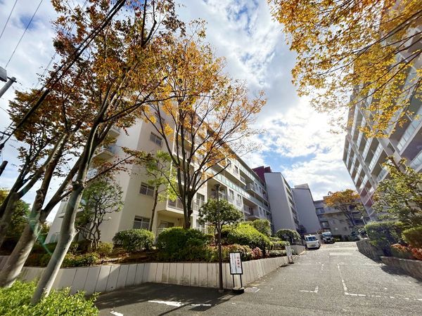 シーアイハイツ千里桃山台C棟 外観 外観