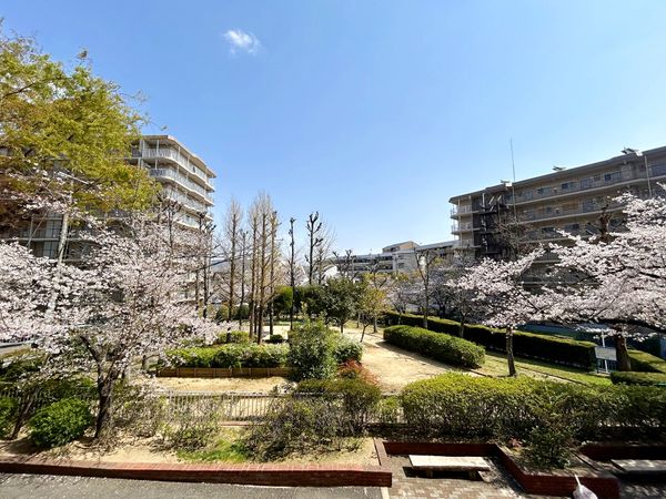 千里一条池スカイハイツB棟 眺望 千里一条池スカイハイツB棟 眺望