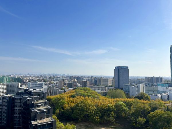 新千里桜ヶ丘メゾンシティ四番館 眺望