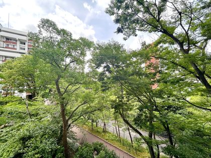 北緑丘第三住宅12号棟 眺望