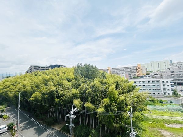 パレス桃山台 眺望 パレス桃山台 眺望