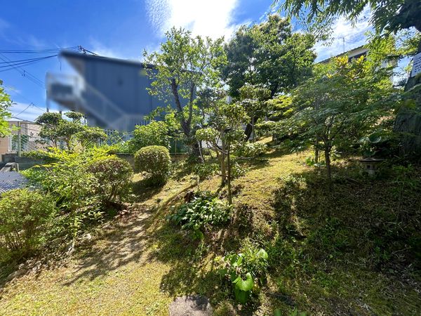 土地写真