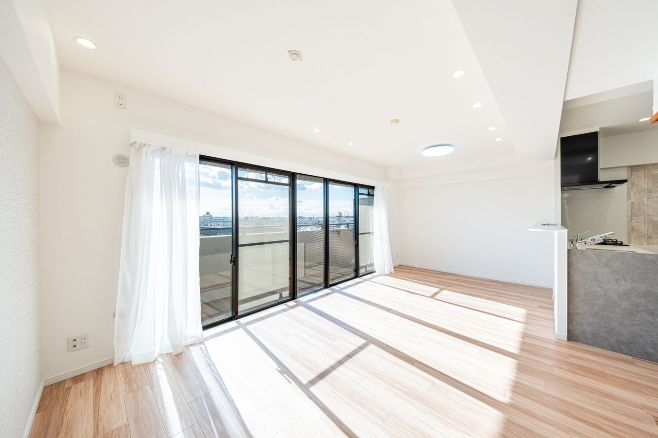 ライオンズガーデン豊中 リビング リビング