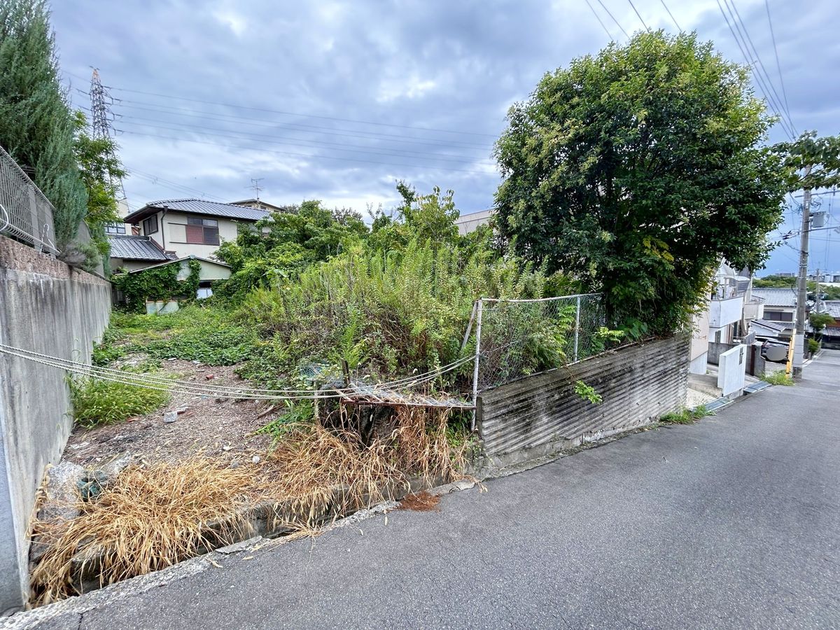土地写真