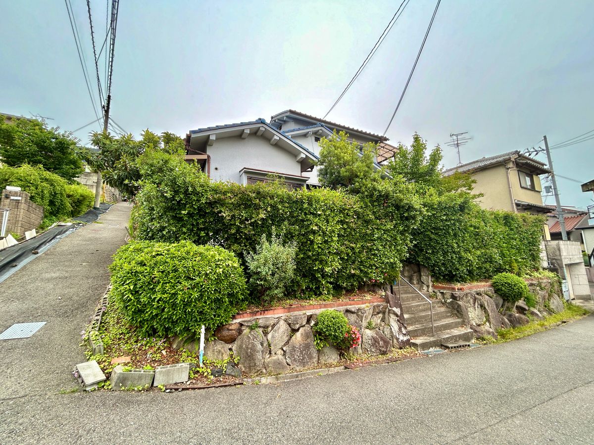 土地写真