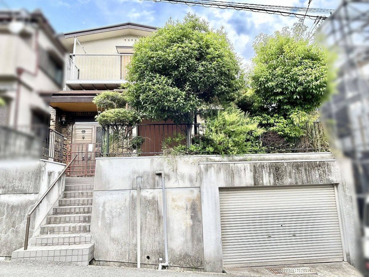 土地写真