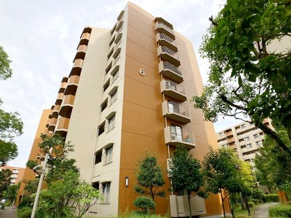 白川高層住宅 6号棟 外観 白川高層住宅 6号棟 外観