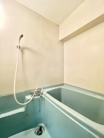 バス