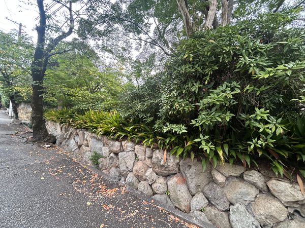 土地写真