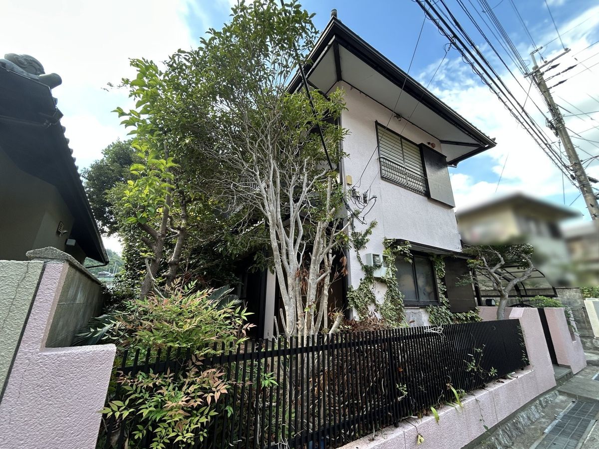 土地写真