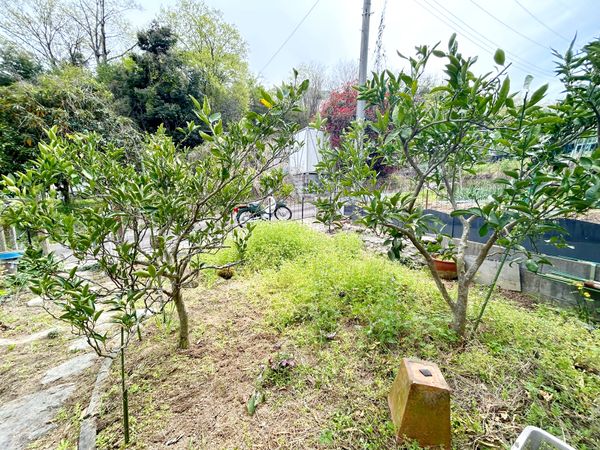 西宮市塩瀬町生瀬字赤子谷【土地】の売地情報（FXWADA14）｜三井