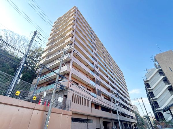 アズ・アドバン、リーヴァ 外観