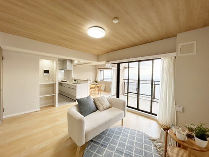 ラ・ビスタ宝塚 ウエストウイング二番館 リビング