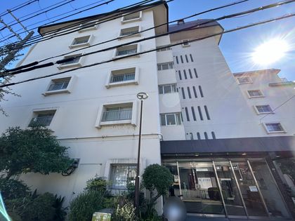 逆瀬川スカイハイツ 外観