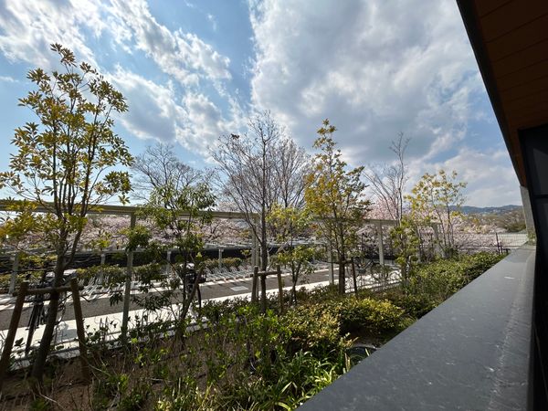 マスターズマンション苦楽園中楽坊 眺望 マスターズマンション苦楽園中楽坊 眺望