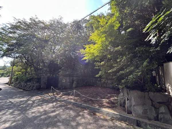 現地写真