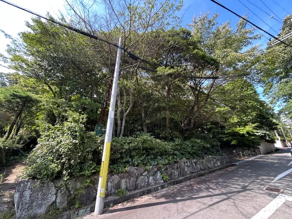 現地写真
