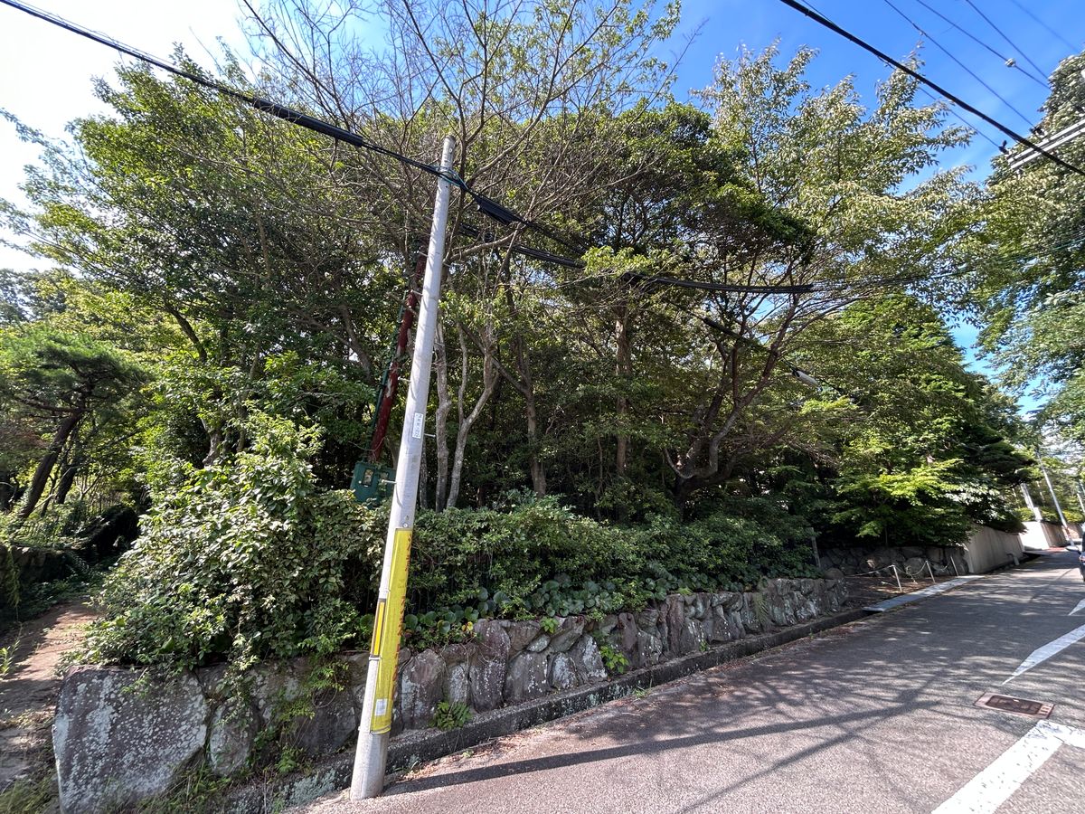 土地写真