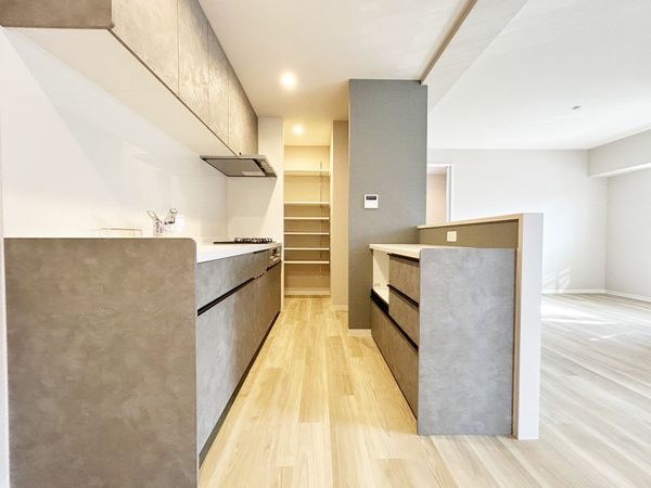 NEOダイキョー甲子園Ⅱ キッチン NEOダイキョー甲子園Ⅱ キッチン