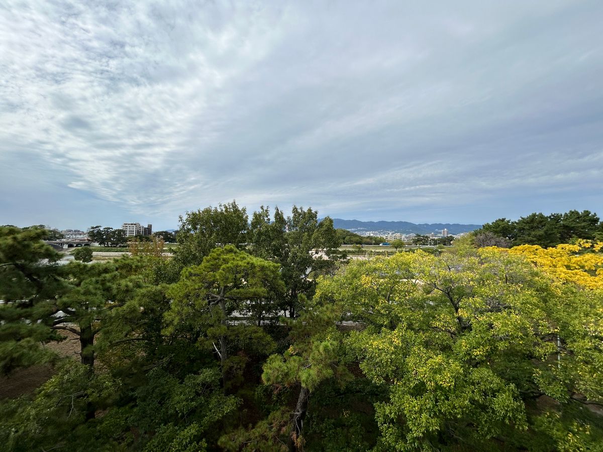 ルネ武庫川 眺望 眺望