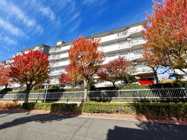 芦屋緑2住宅 5号棟 外観 芦屋緑2住宅 5号棟 外観