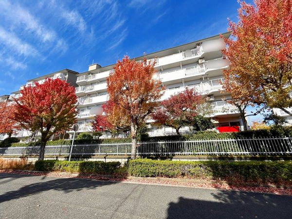 芦屋緑2住宅 5号棟 外観 芦屋緑2住宅 5号棟 外観