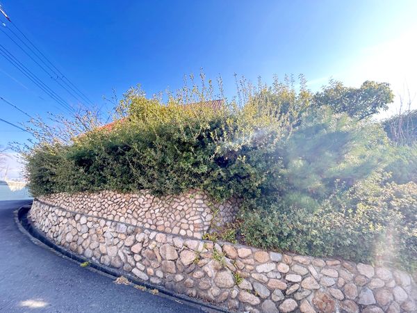 前面道路含む外観