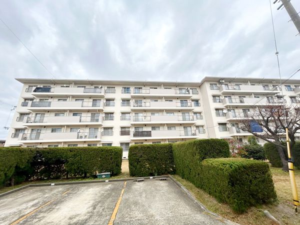 中宮第四住宅第七四号棟 外観