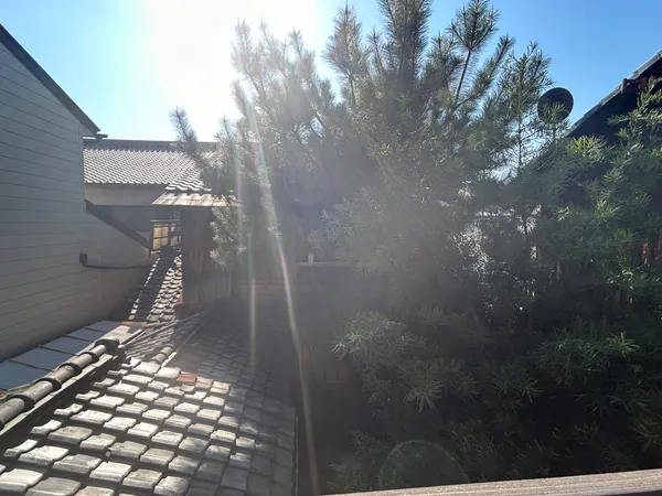 北側２階から中庭を望む