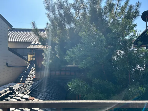 北側２階から中庭を望む