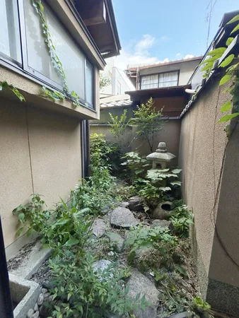 庭