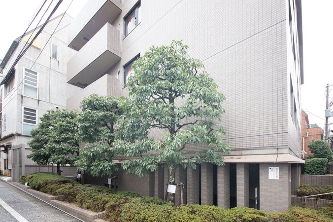 フェルティ祇園 外観