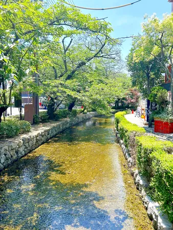 現地から約100Ｍの高瀬川風景