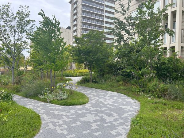 ローレルスクエア長岡京ザ・マークス サウスコート その他現地 ローレルスクエア長岡京ザ・マークス サウスコート その他現地