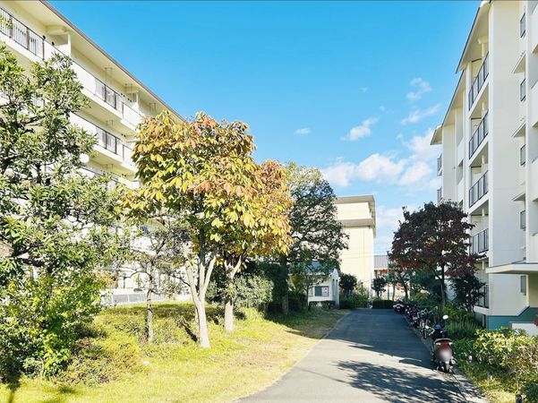 境谷西第1住宅28棟 共有部分 共有部分