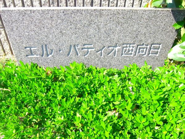 エル・パティオ西向日 その他現地 その他現地