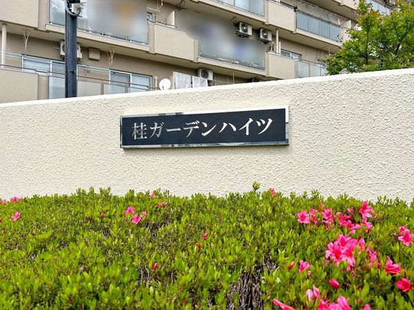 桂ガーデンハイツ その他現地 その他現地
