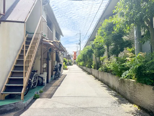 南側道路～外観