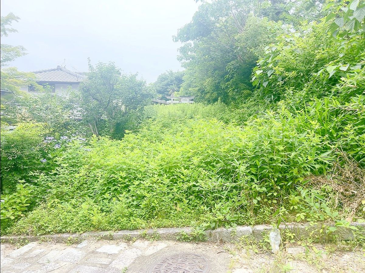 左京区吉田神楽岡町 土地写真 土地写真