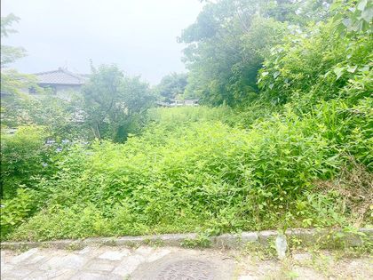 左京区吉田神楽岡町 土地写真