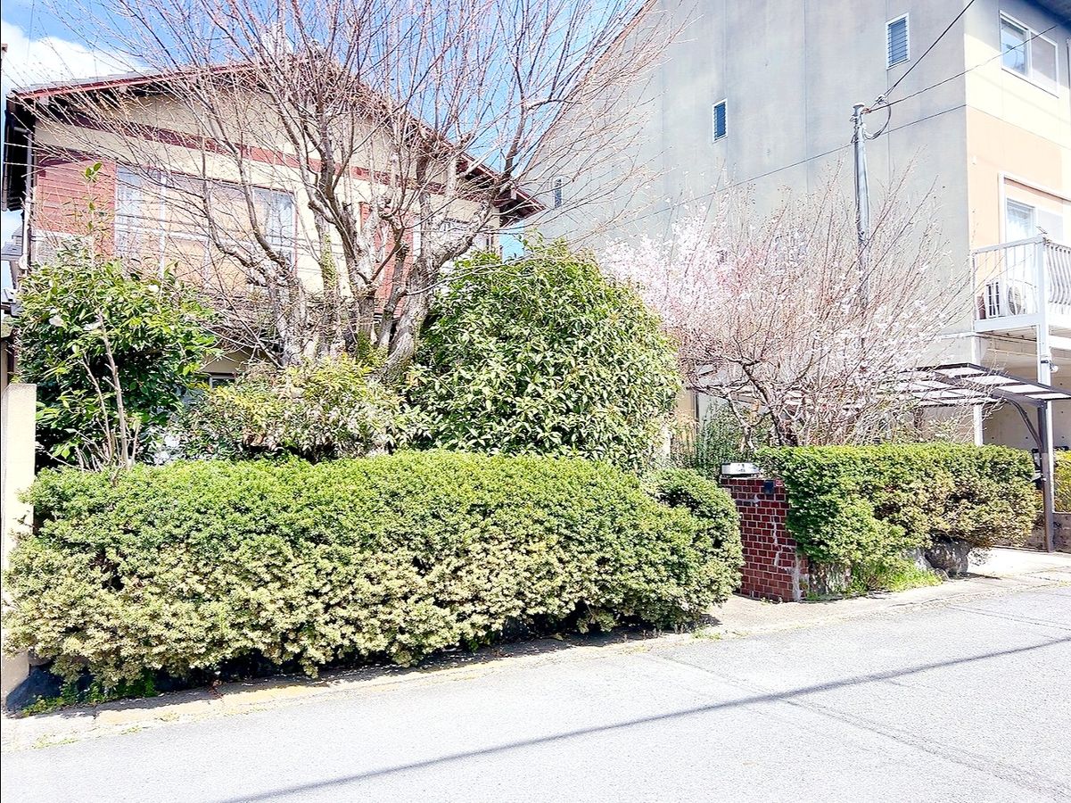 土地写真
